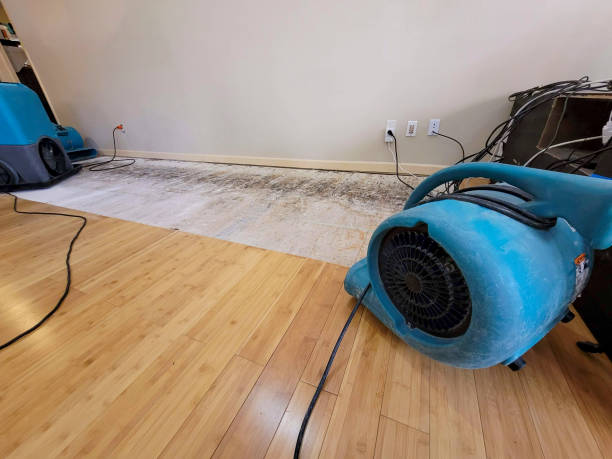 Professional Flood Damage Cleanup technician working in McDonald, TN